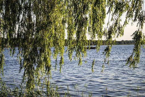 Steinhuder Meer,