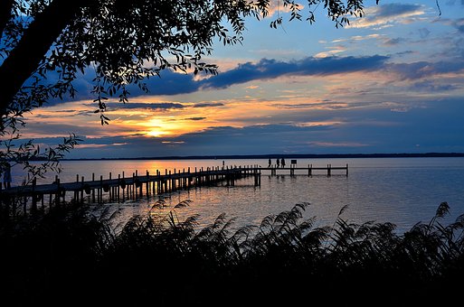 Schilf am Steinhuder Meer,