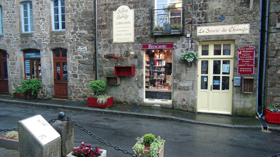 Librairie Fleurs Brocante Souris des Champs 