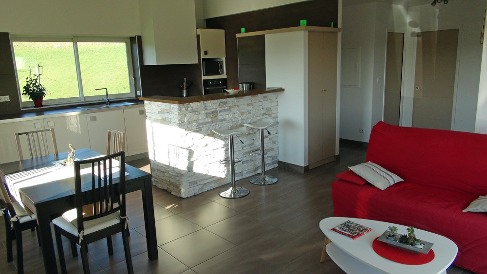 L'ensemble salon, salle à manger et cuisine