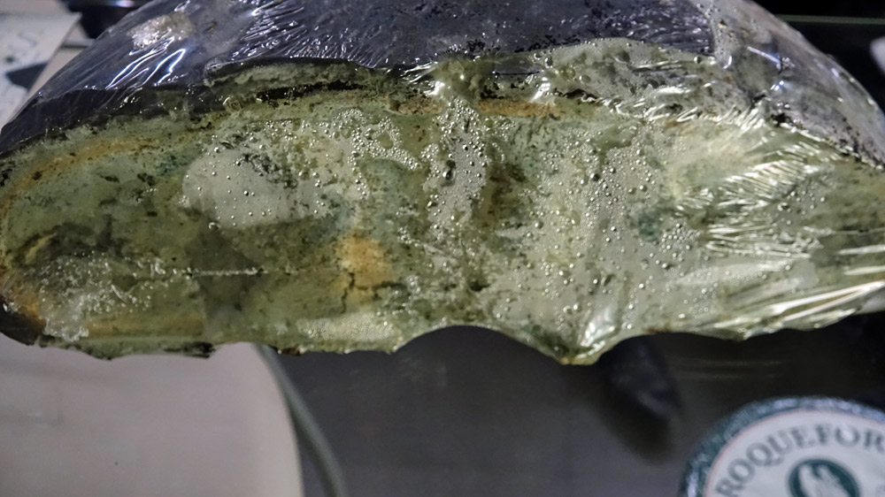 Culture de pénicillium roqueforti sur pain 