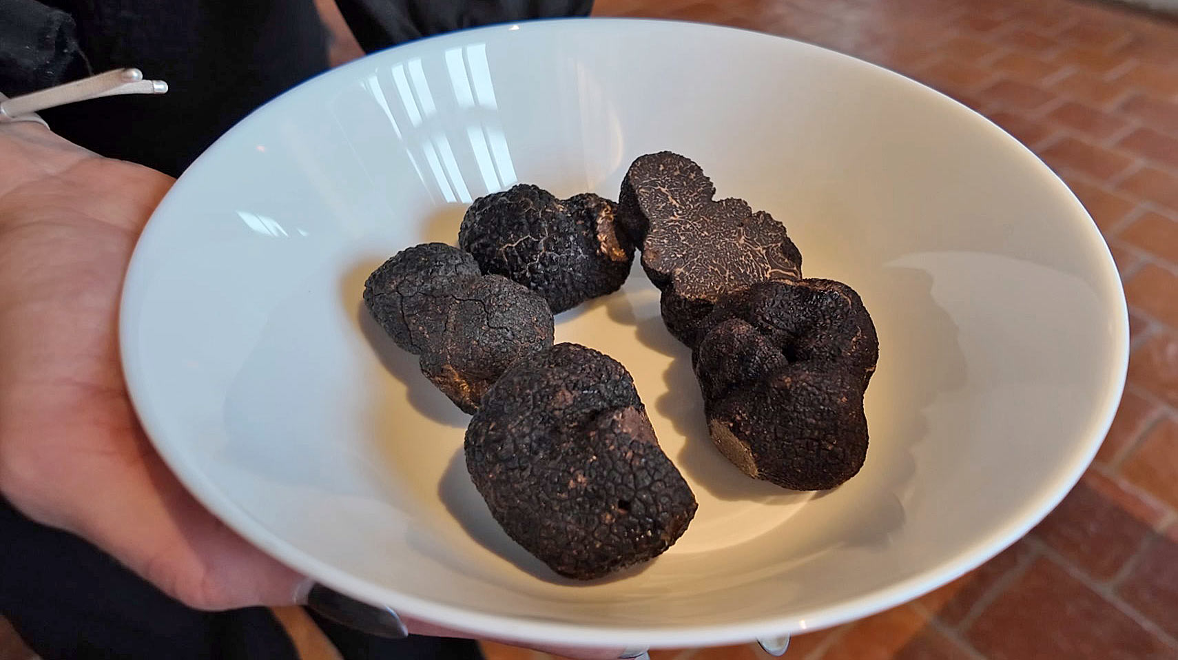 Truffes de la Drôme et du Périgord