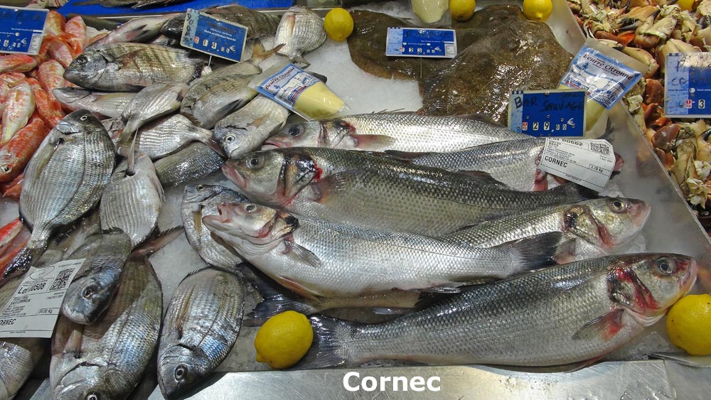La halle aux poissons