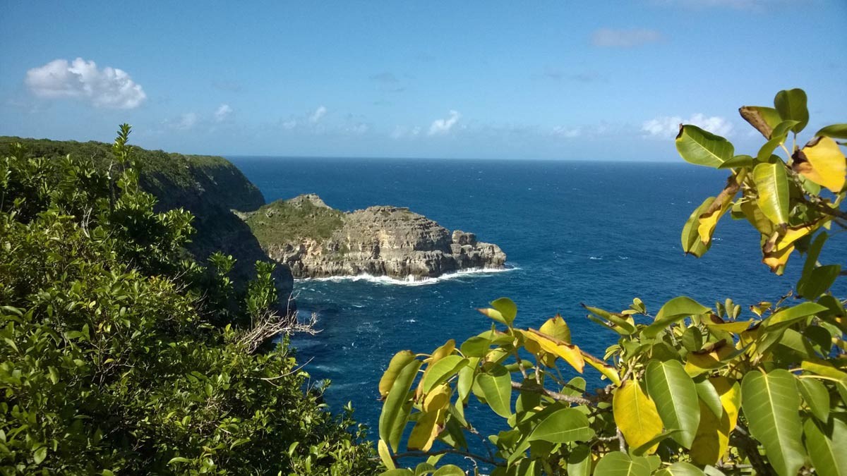 Pointe du Château