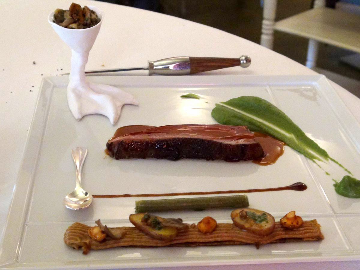 Canard de Challans
