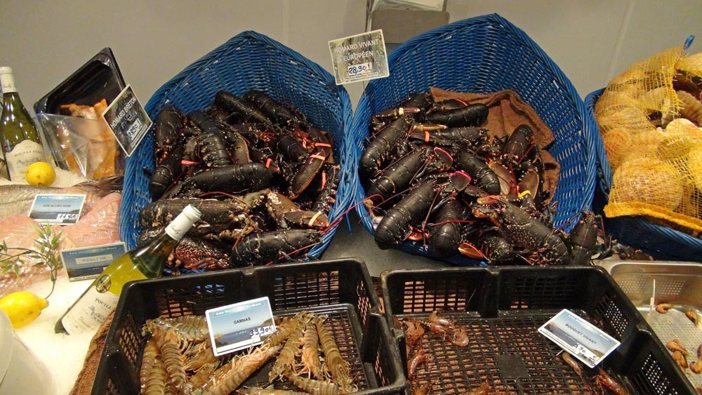 Homards bretons et européens