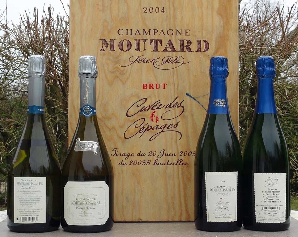 Champagnes de Moutard