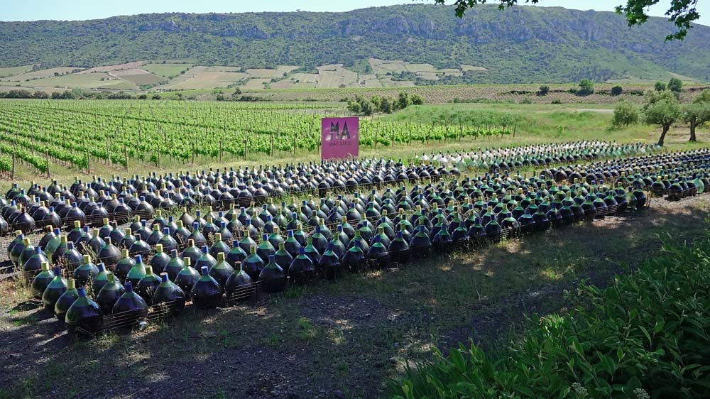 Les 1000 dames-jeannes - 15 mai 2019