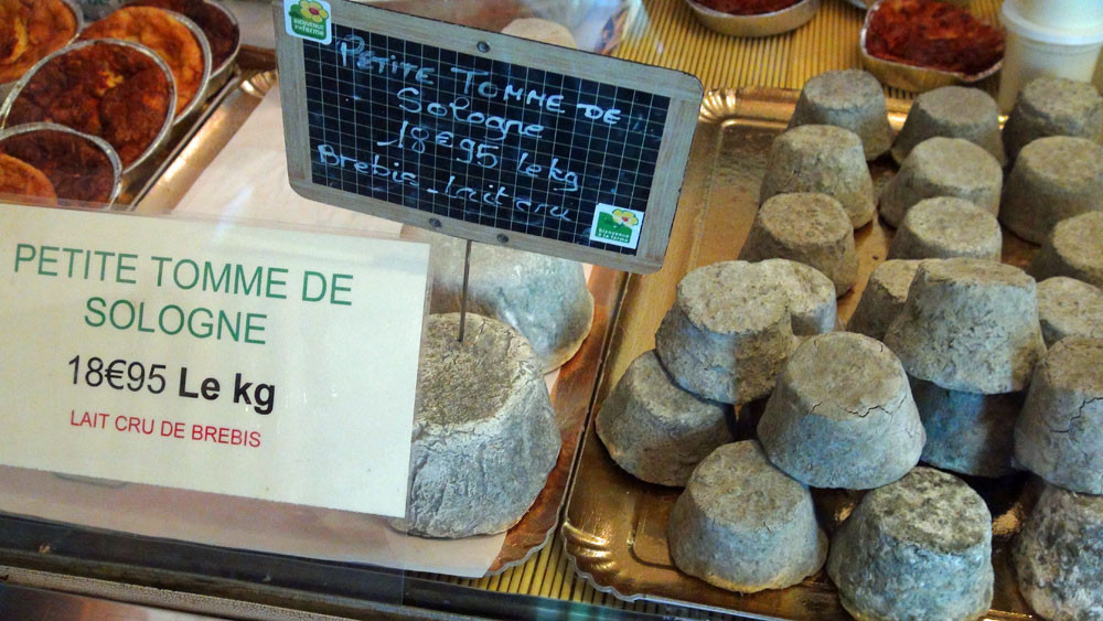 Petite tomme