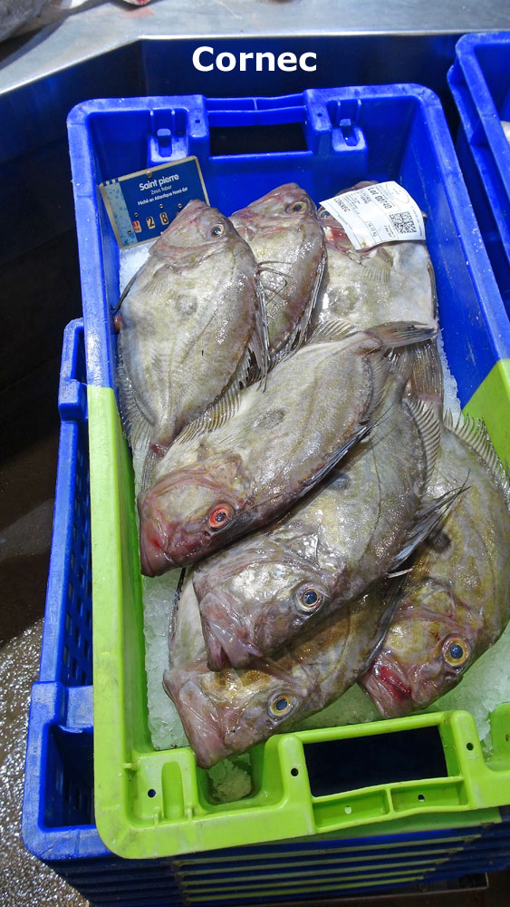 La halle aux poissons (Saint-Pierre de Cornec)