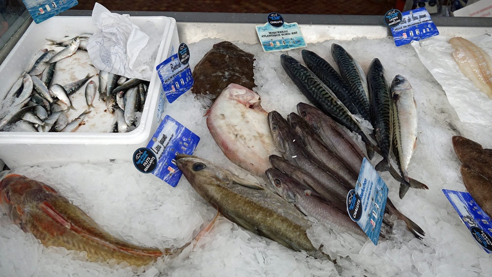 Quelques poissons en vente