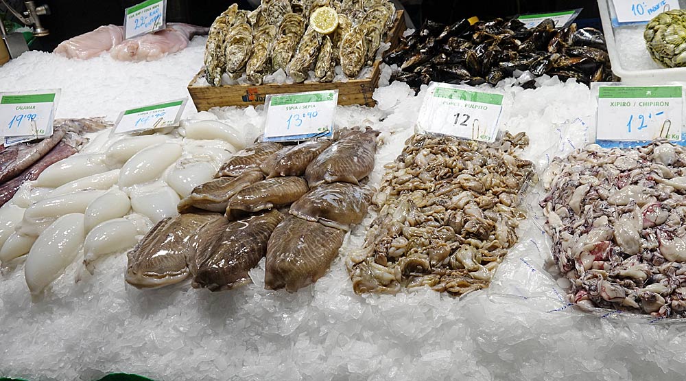 Poulpes, calamars, chipirons ...