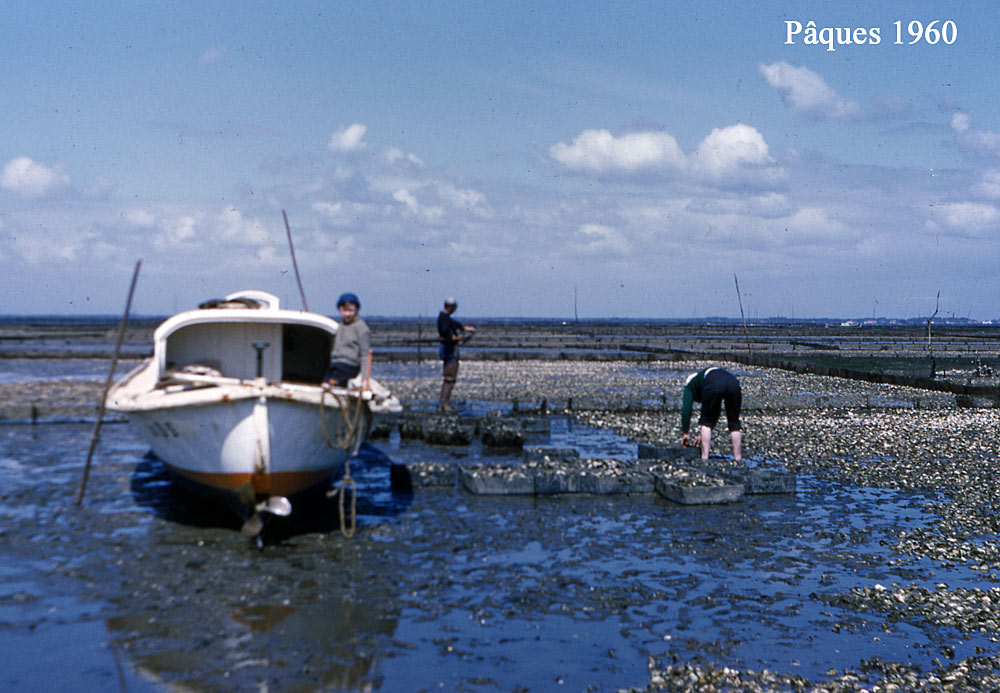 Mézigue sur le bassin d'Arcachon en 1960 !