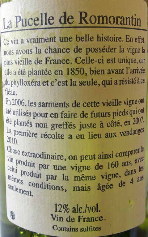 La Pucelle de Romorantin