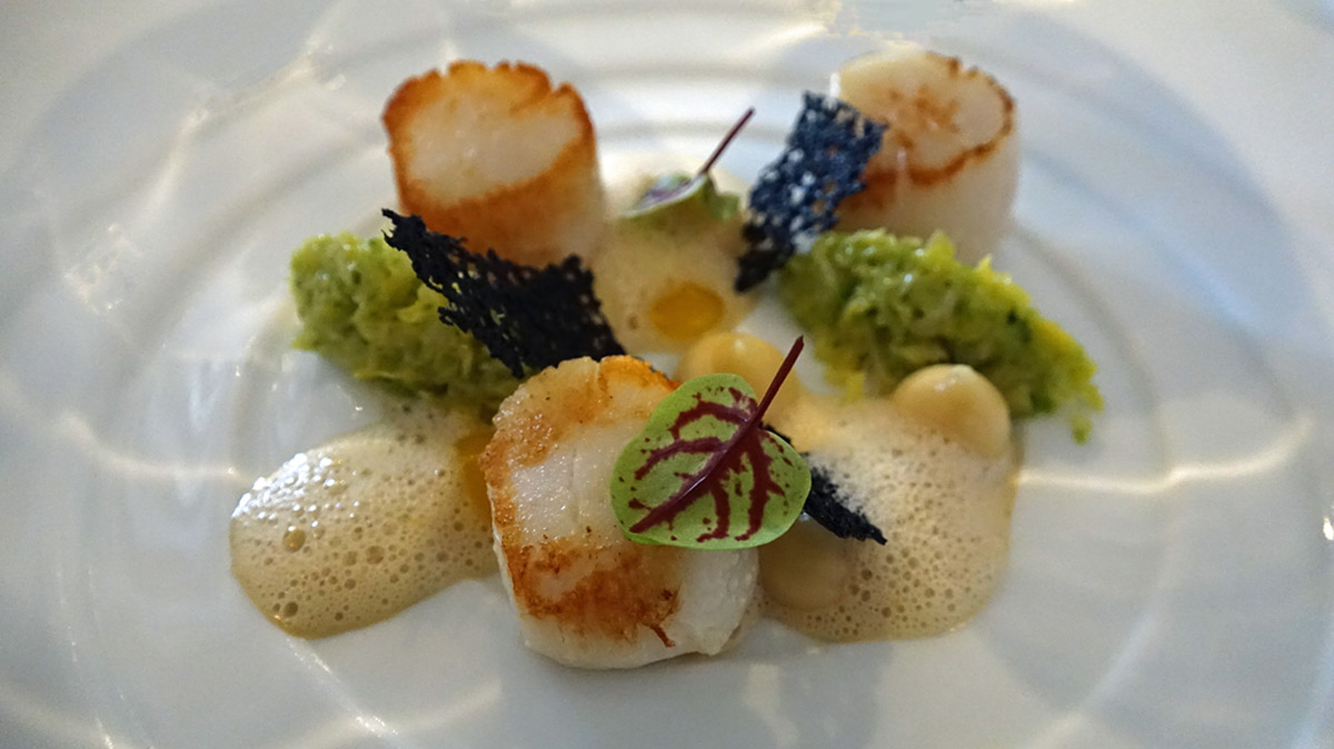 Saint-Jacques de Normandie | choux verts | panais | jus de bardes clémentine