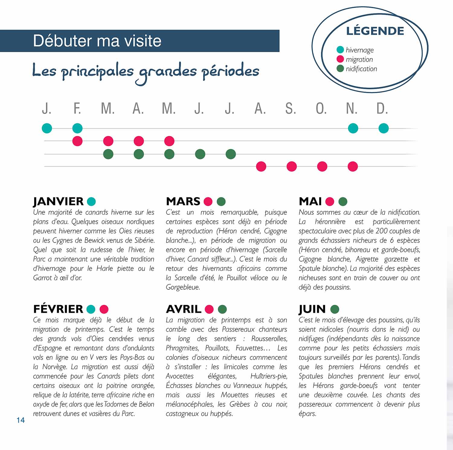 © http://www.parcdumarquenterre.fr