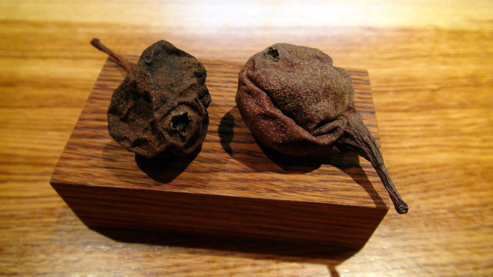 Poire de calot