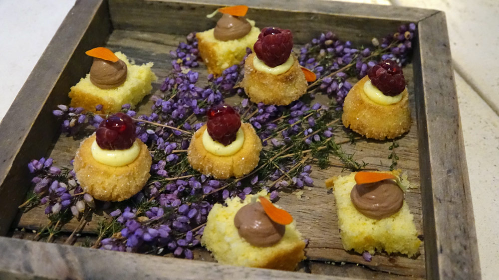 Mignardises 1 : Moelleux au citron et mousse au chocolat - Diamant à la framboise, 