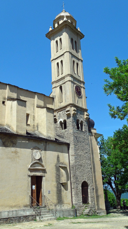 Eglise Saint-Pierre & Saint-Paul à Piedicroce