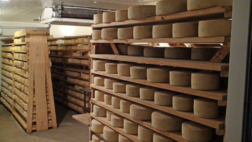 La cave d'affinage des Ossau-Iraty
