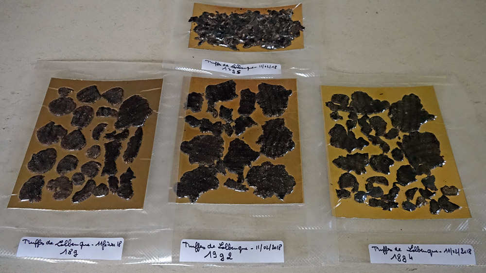 Quelques unes des truffes passées au rasoir, mises sous-vides et congelées