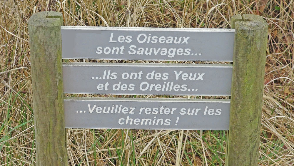 Conseils utiles