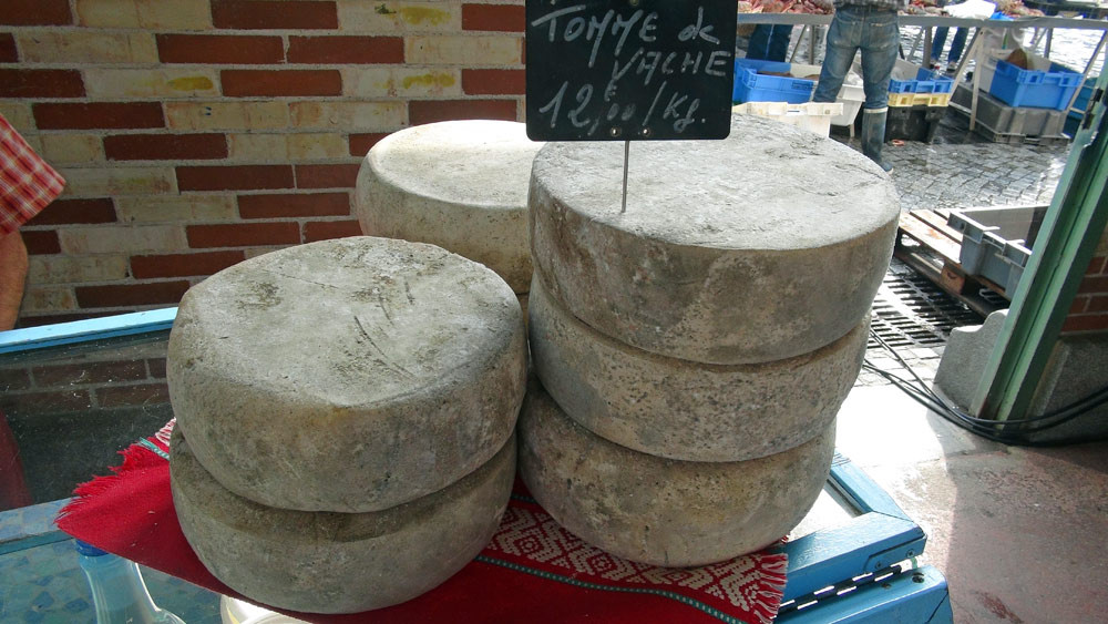 Fromages à base de lait de vaches pie noire