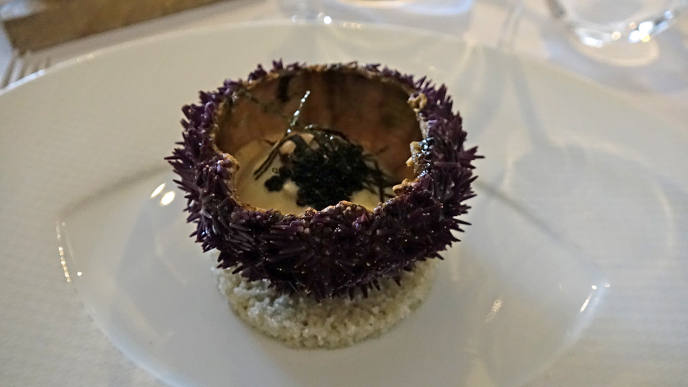 Oursins de Bretagne | crème de choux fleur | nori | caviar de Sologne