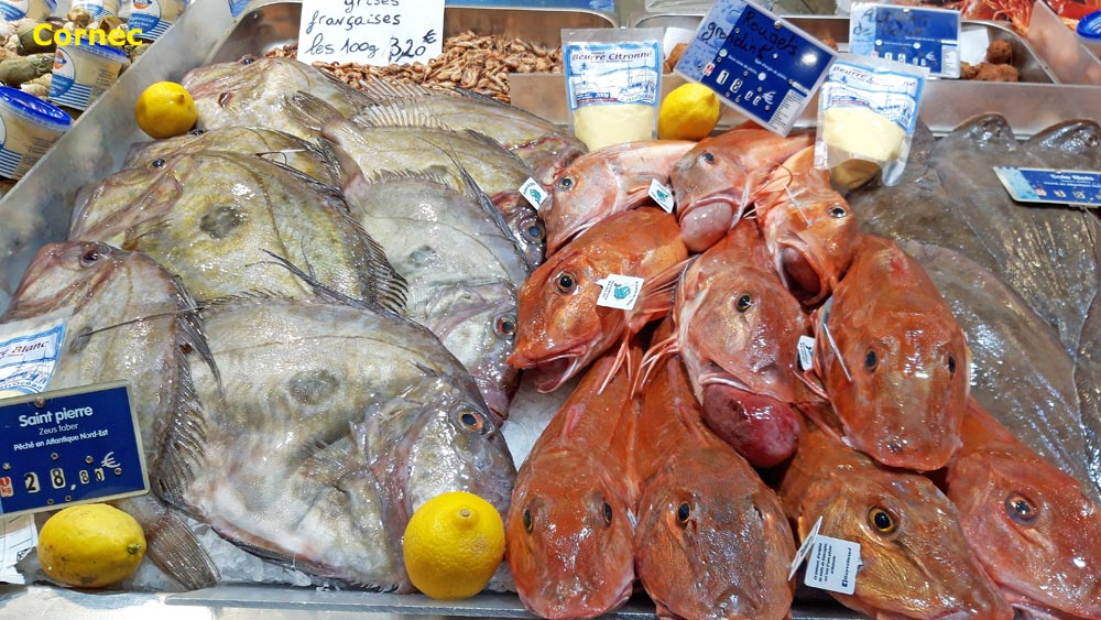 La halle aux poissons