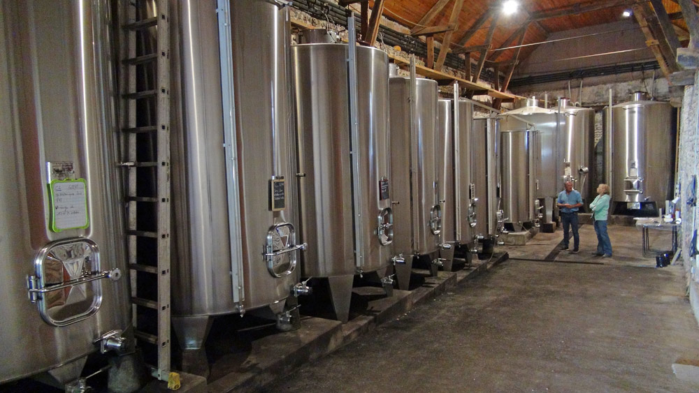 La cave des vinifications