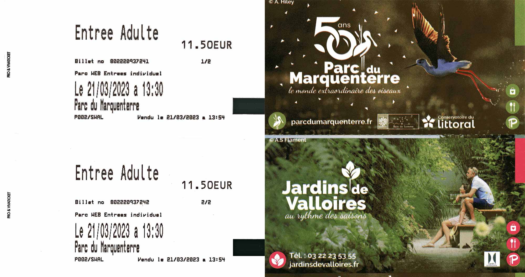 Tickets d'entrée