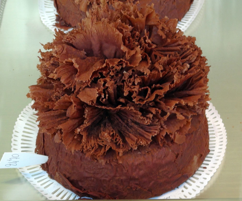 Le fameux gâteau "Président"