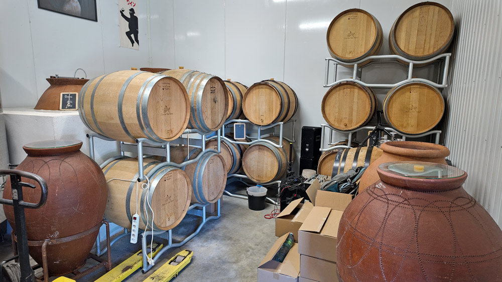 Barriques et amphores