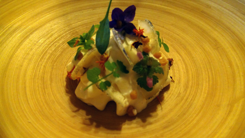 Mousse de chèvre frais, copeaux de chèvre affiné, miel de sapin, croûtons de pain de mie dorés à la poêle et herbes sauvages