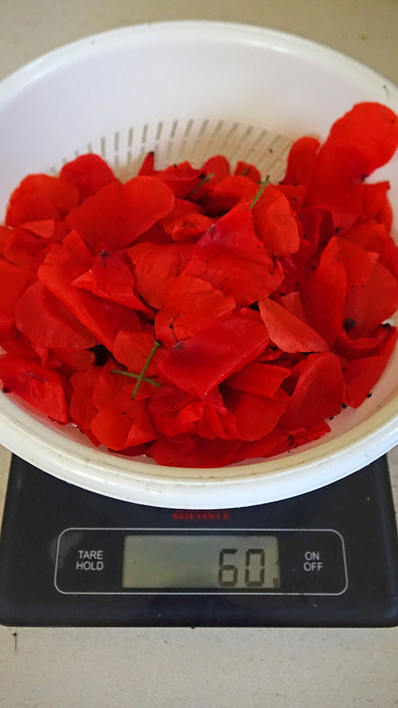 Poids net des fleurs de coquelicots cueillies