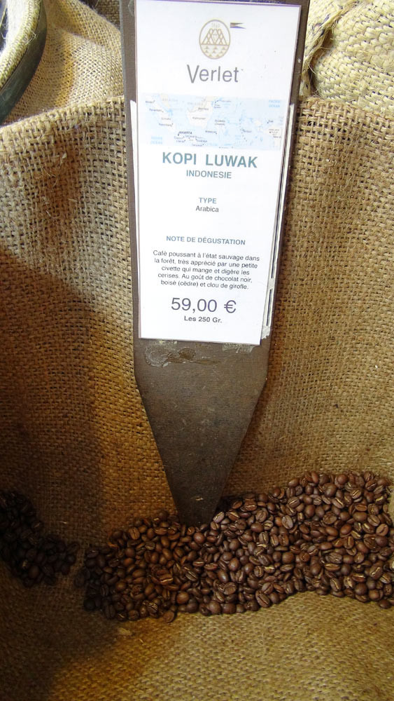 Le fameux Kopî Luwak