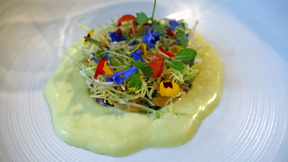 Moules façon “Ceviche”, pousses de frisée et fleurs sauvages