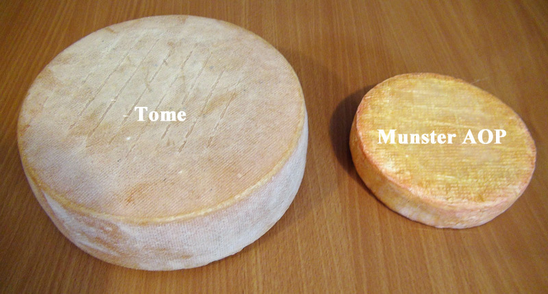 Tome & Muster AOP