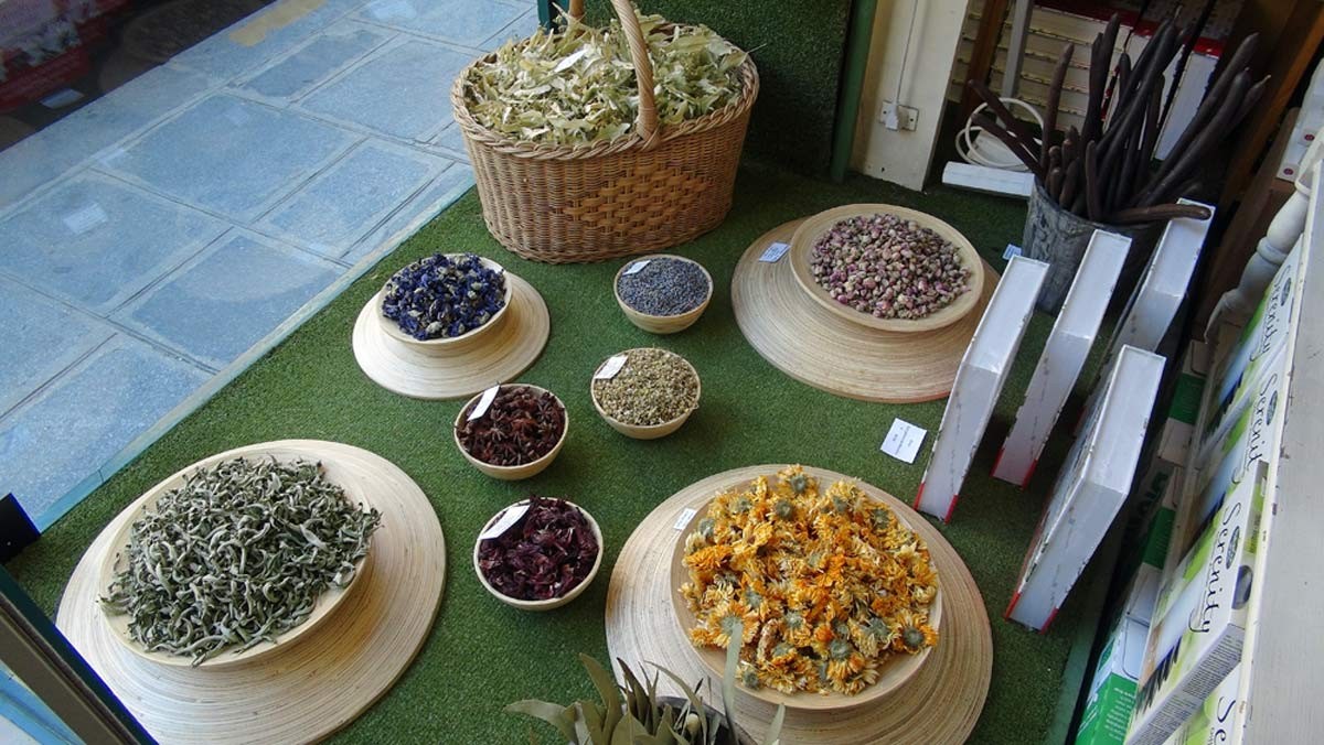 Plantes en vrac