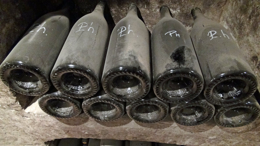 Magnums de Philéa en vieillissement