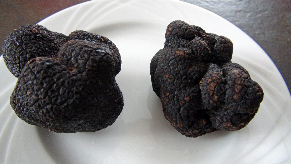 Deux belles truffes