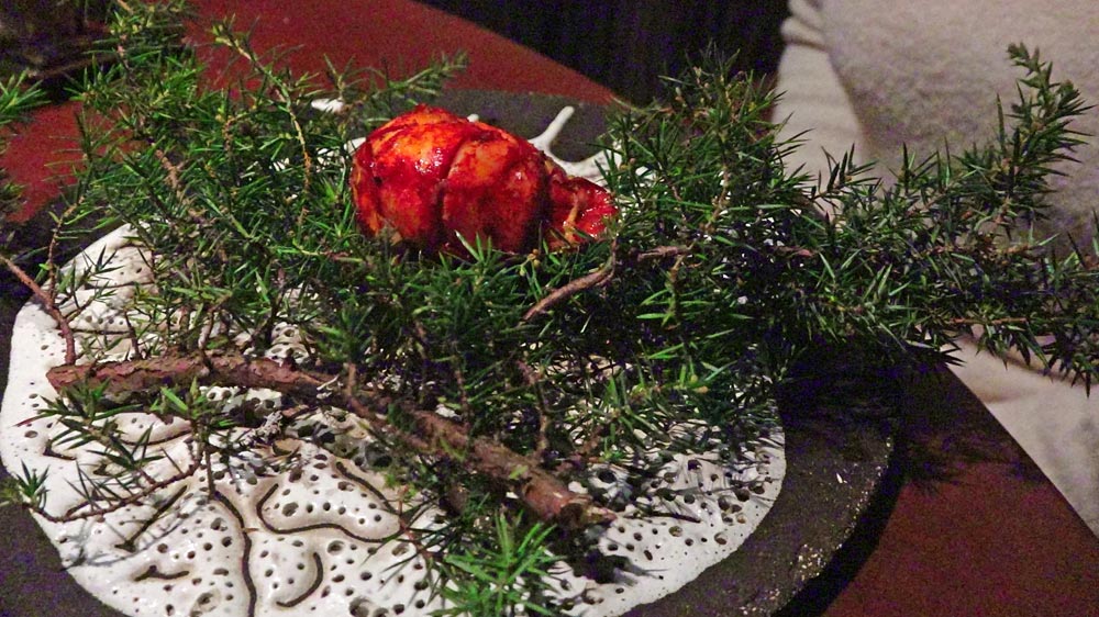Homard bleu, genièvre ...