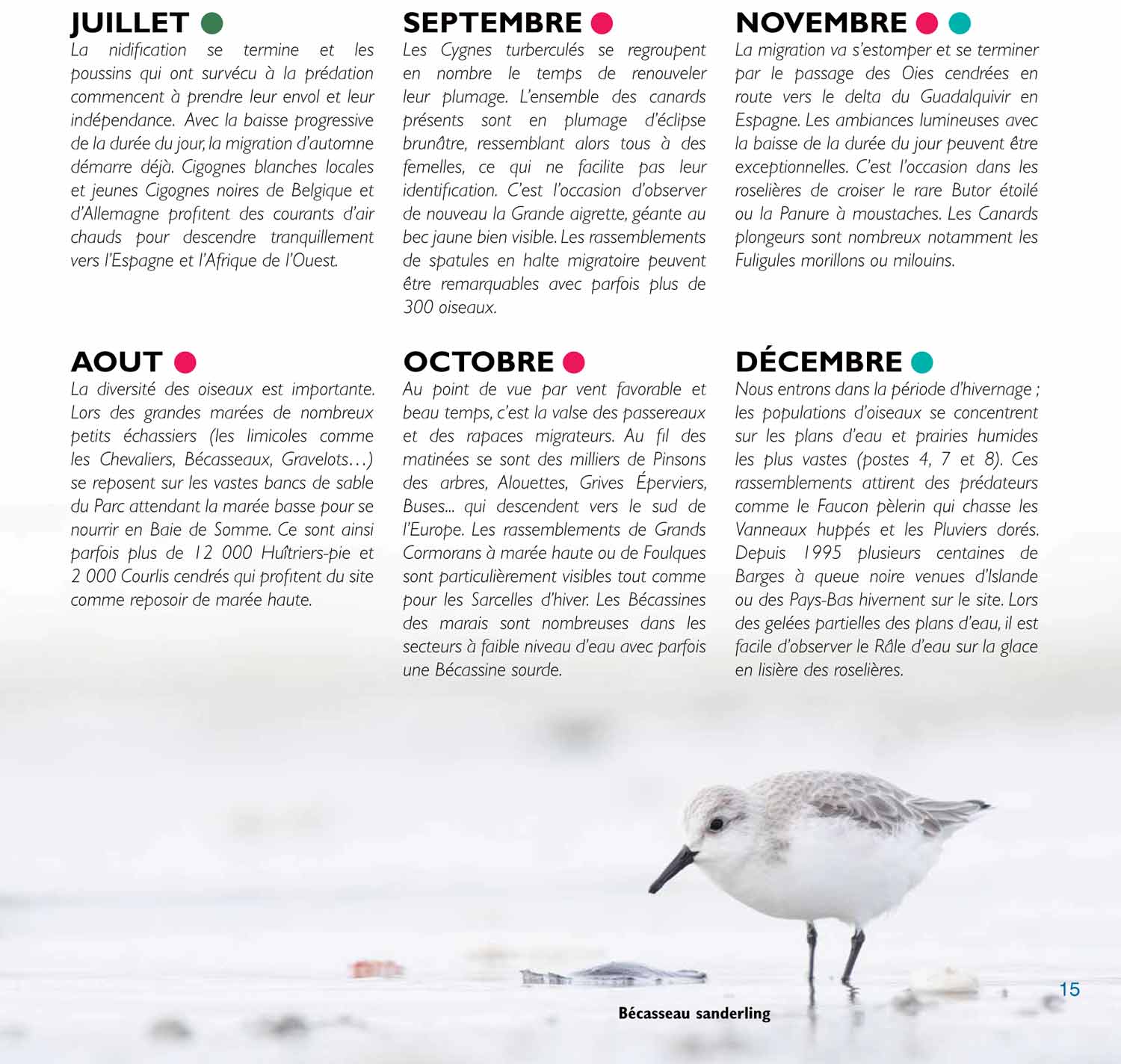 © http://www.parcdumarquenterre.fr