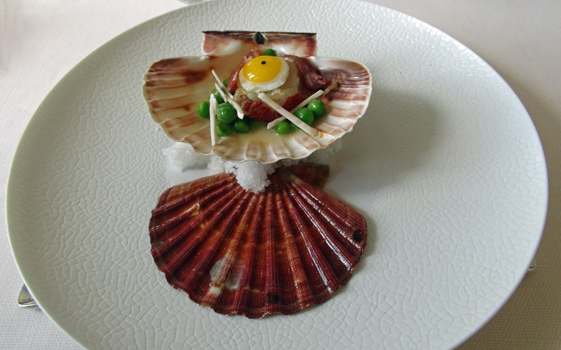 Saint-Jacques cuite dans sa coquille