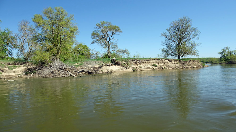 Au fil de la Loire, entre Saumur et Gennes
