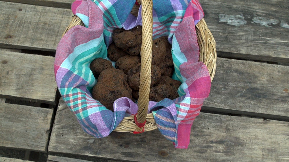 Un petit panier