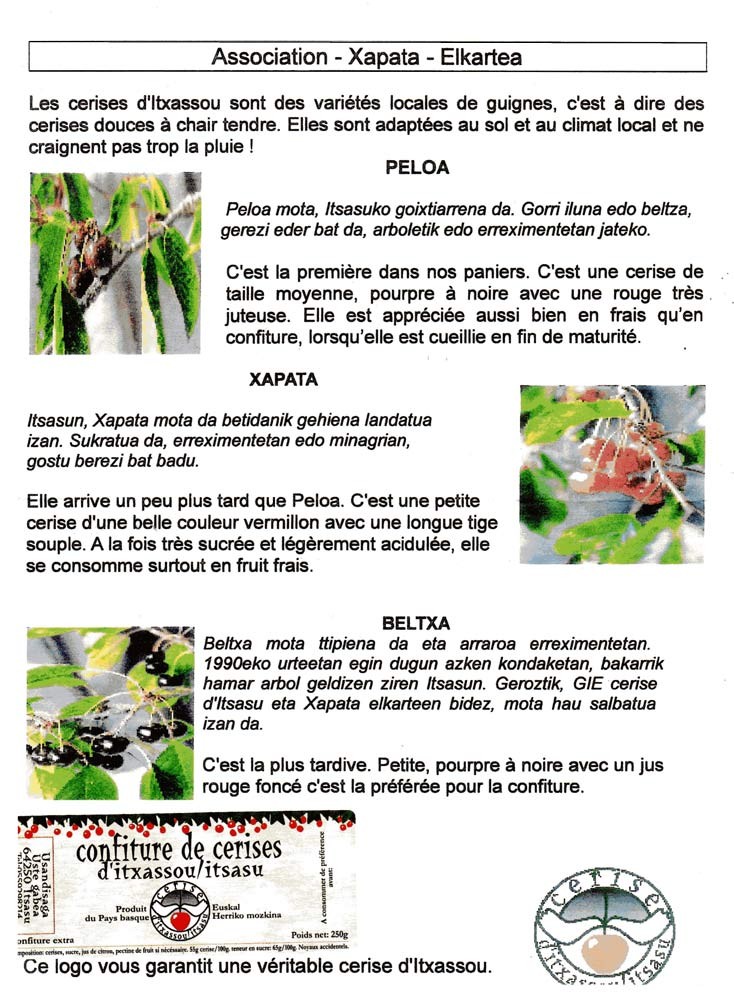 Caractéristiques des 3 varéiétés de cerises