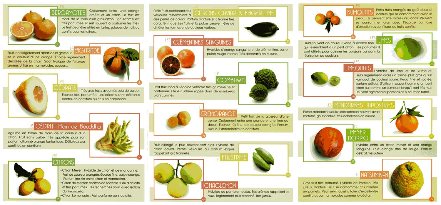 Brochure explicative