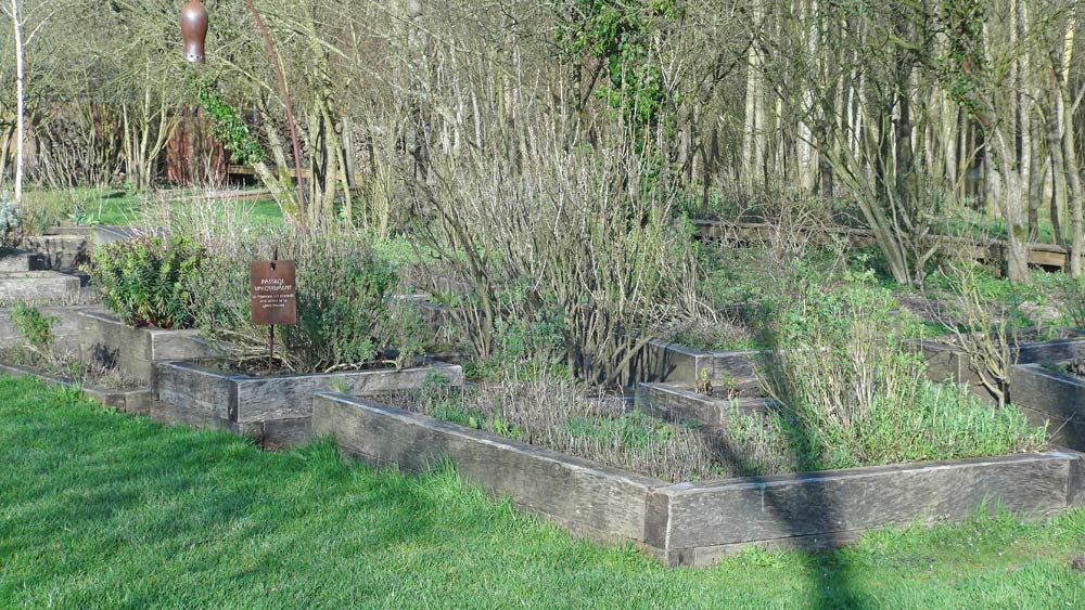 La "tisanerie"