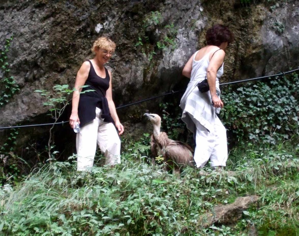 Kakuetta, Pascale et le vautour